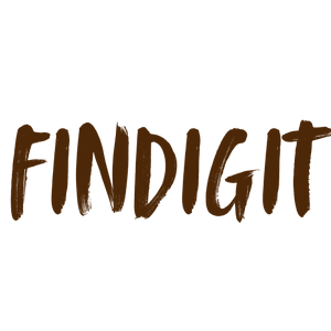 FINDIGIT